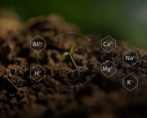 Fungicides